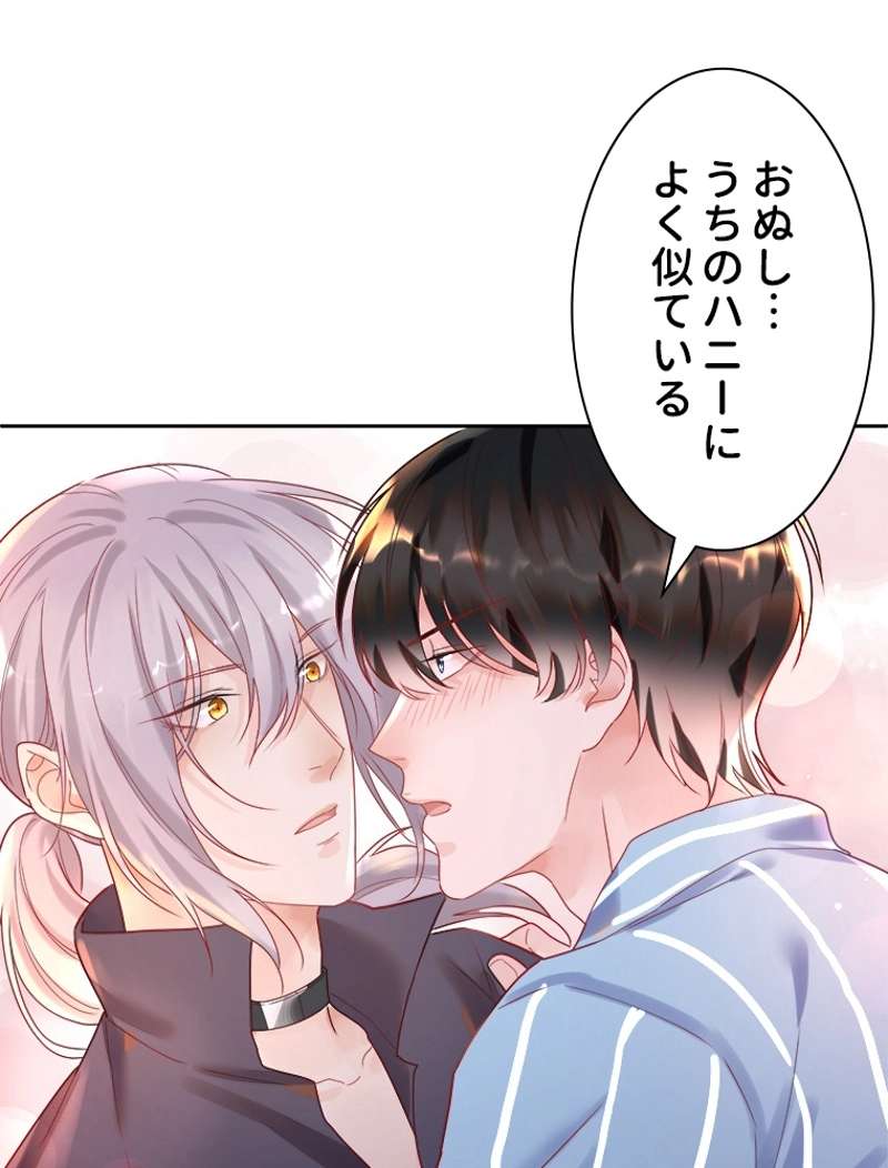 P39