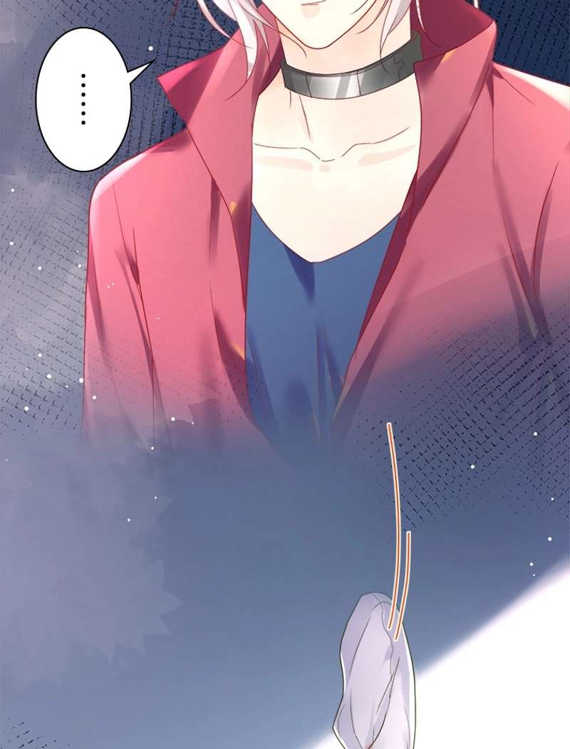 P51