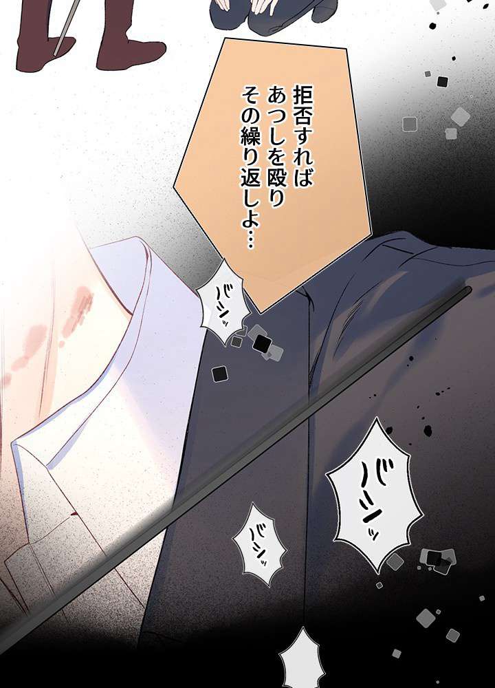 P41