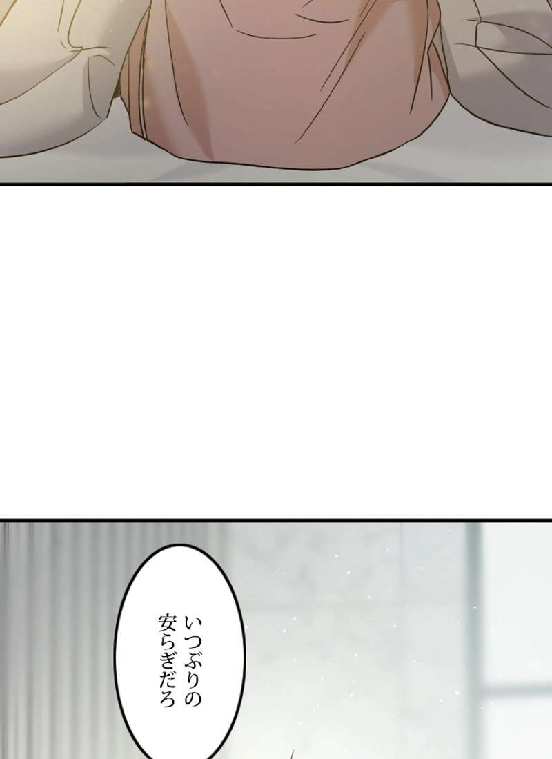 P53