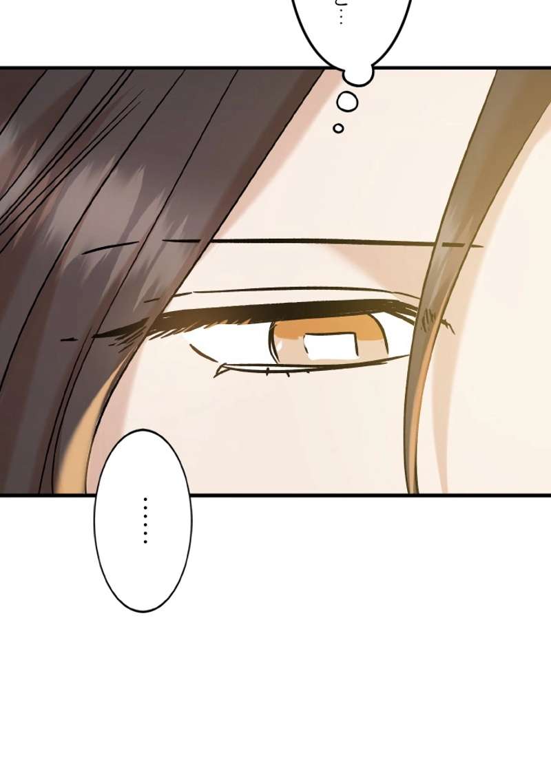 P66
