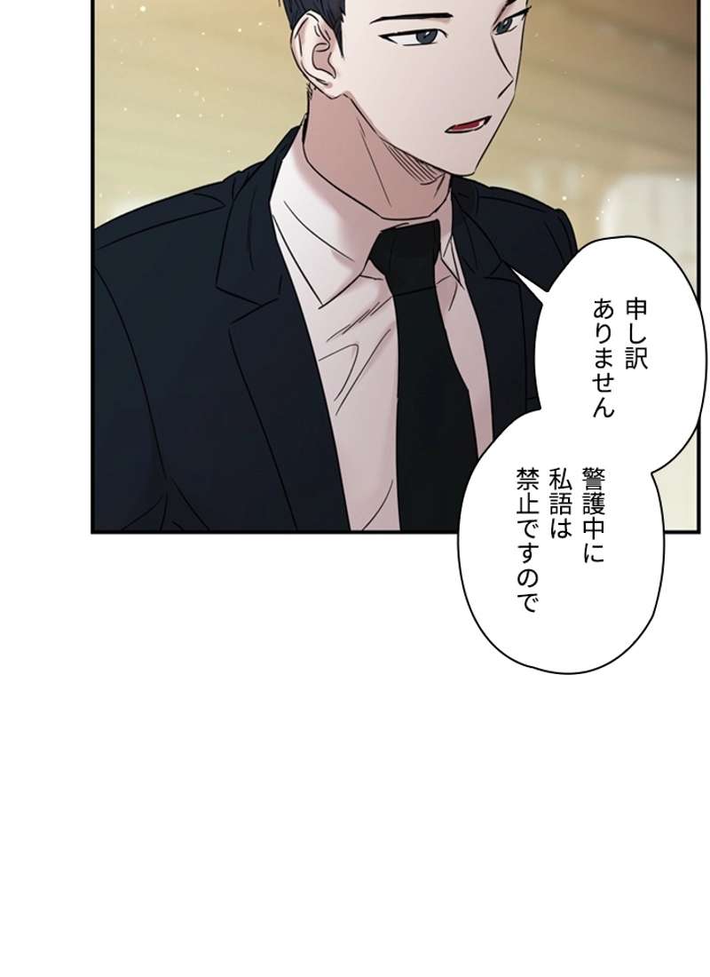 P61