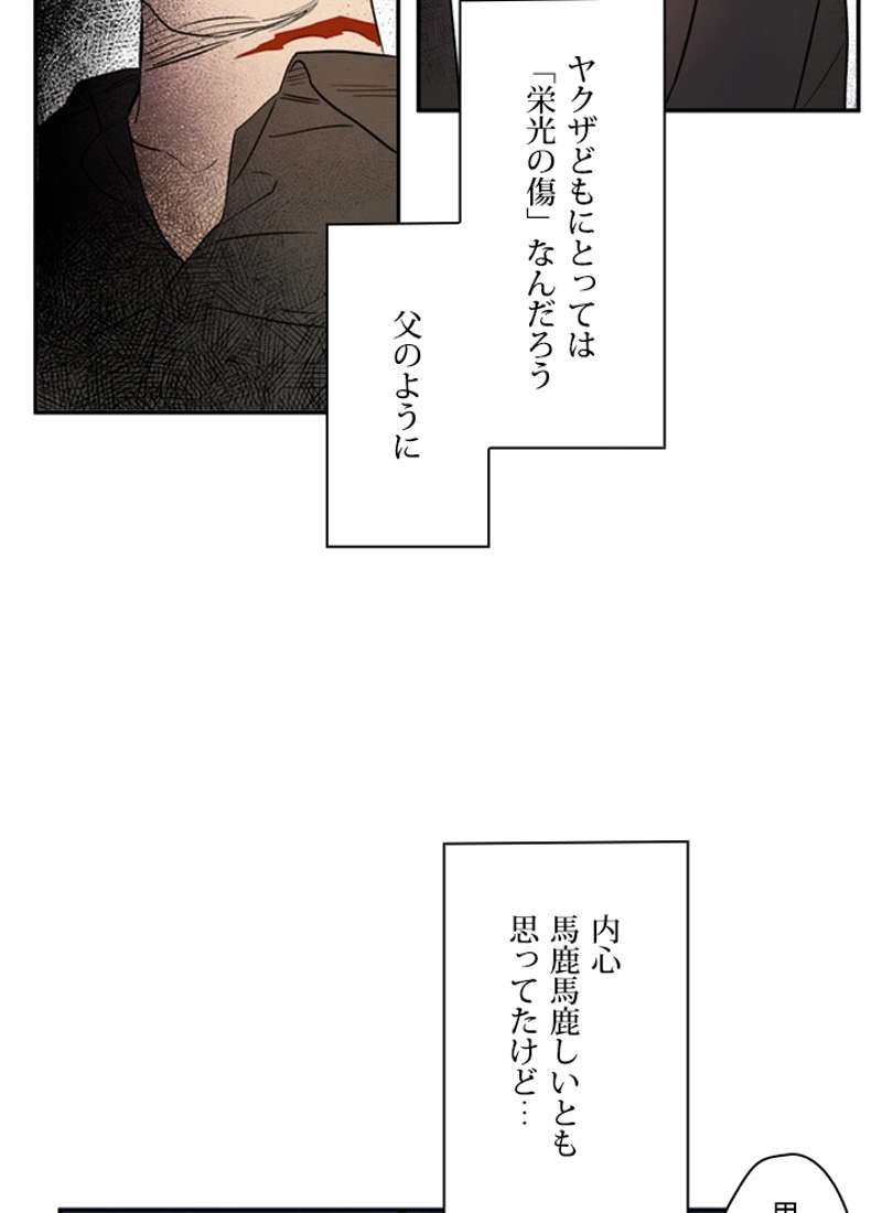 P63