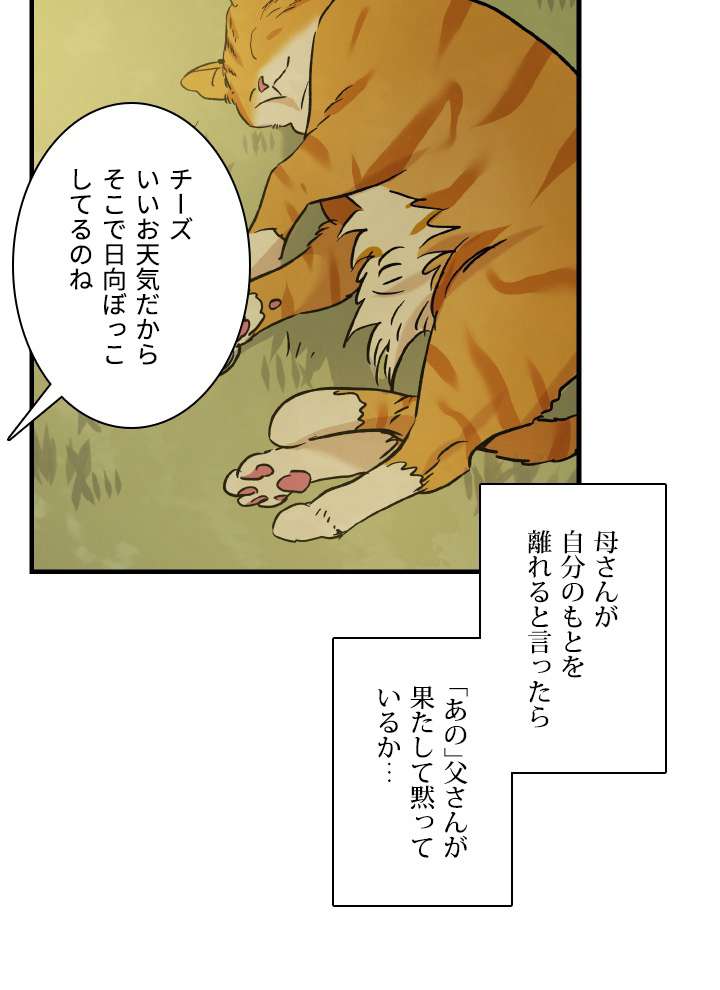 P44