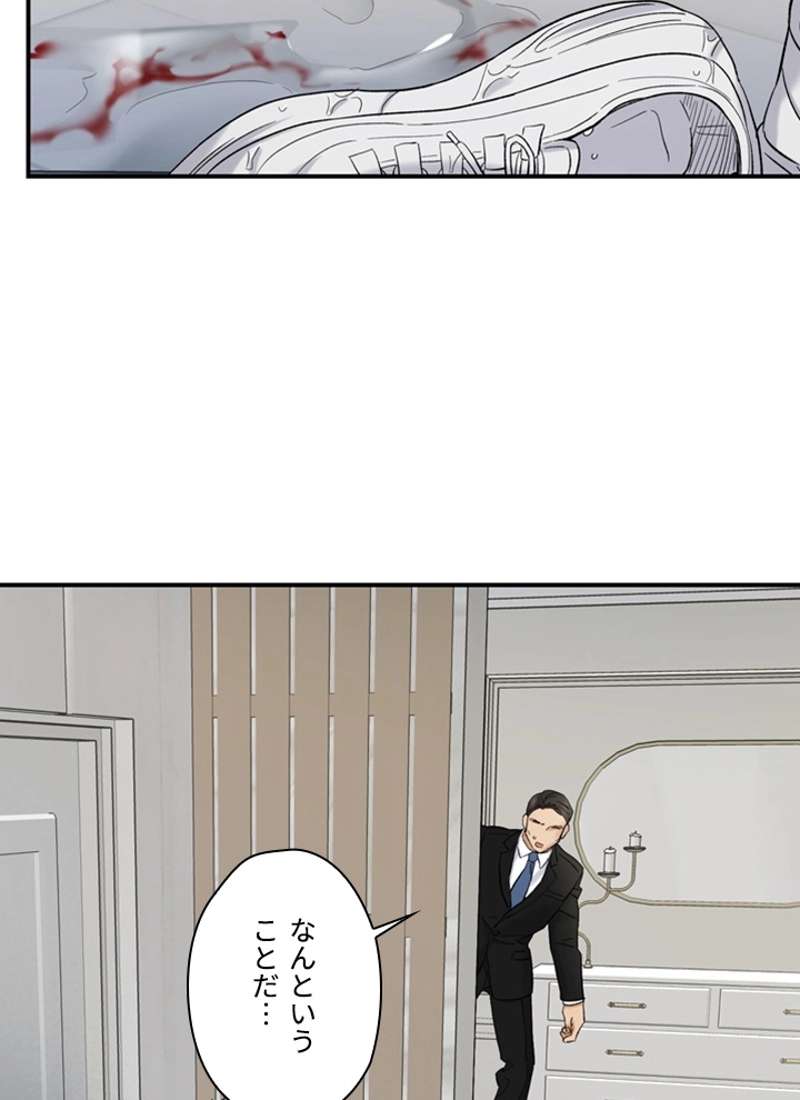 P24