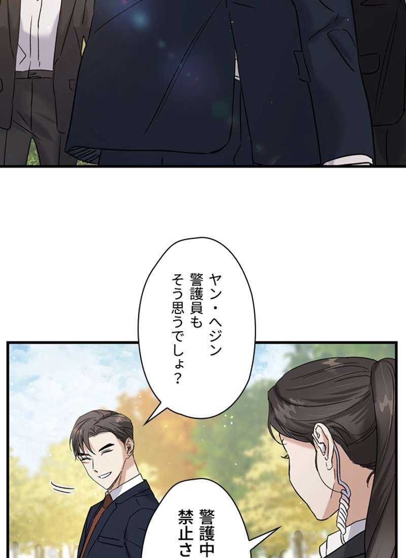 P63