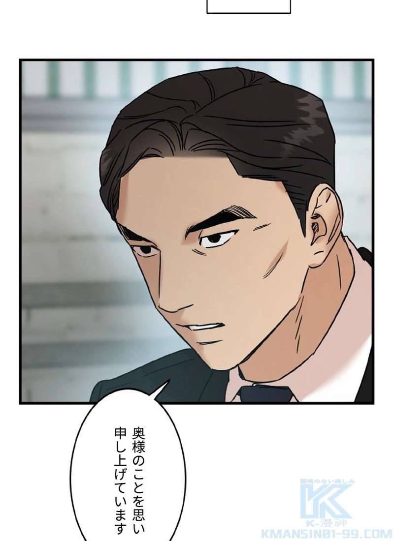 P61