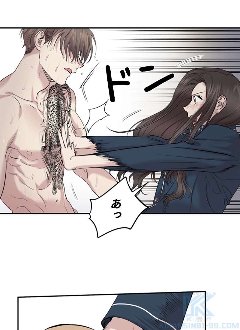 P41