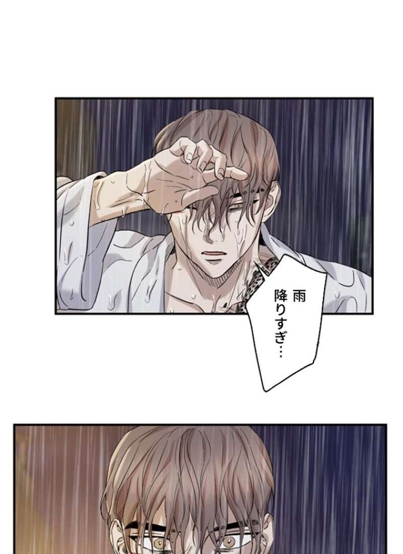 P63