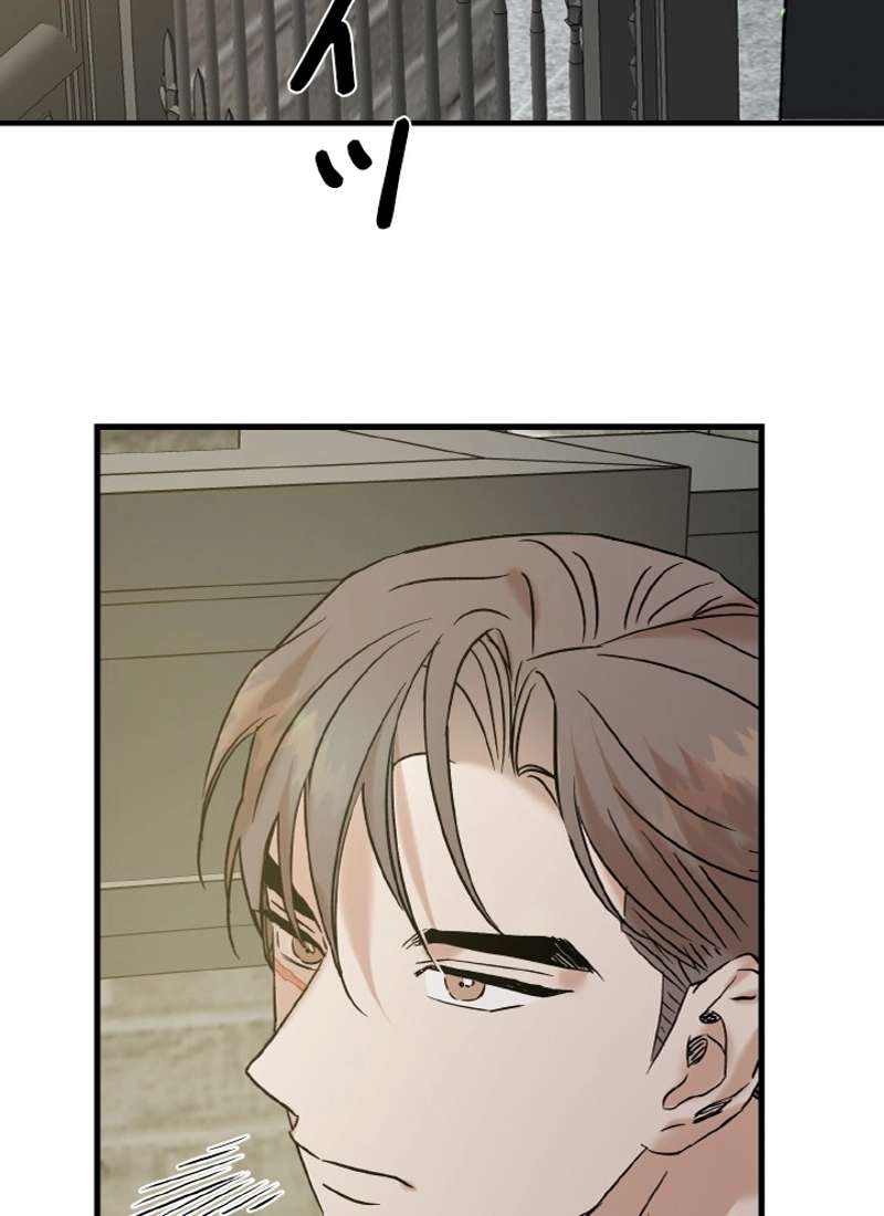 P84