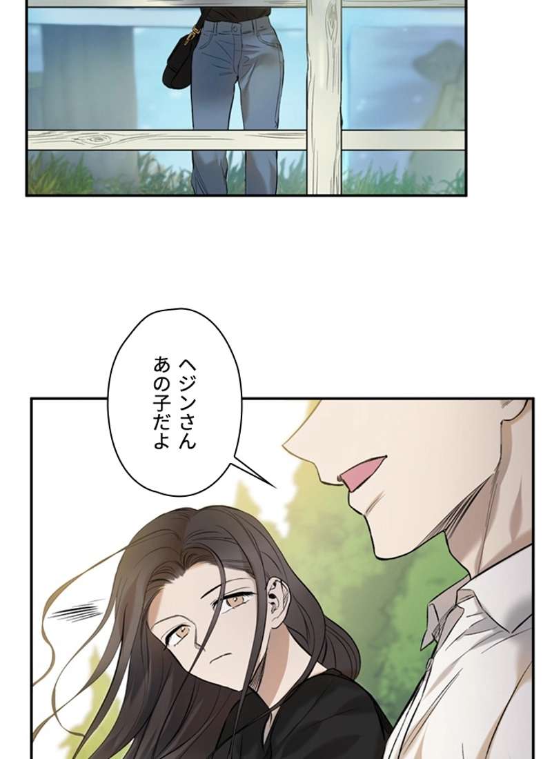 P63