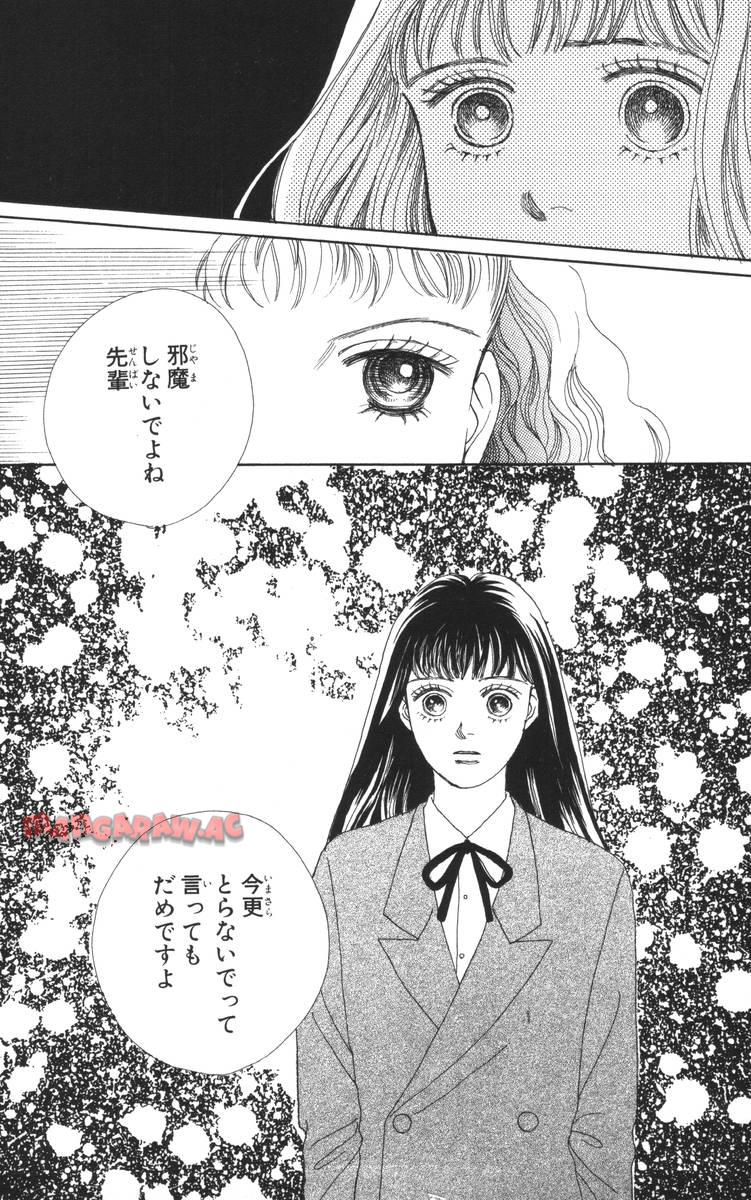 P53