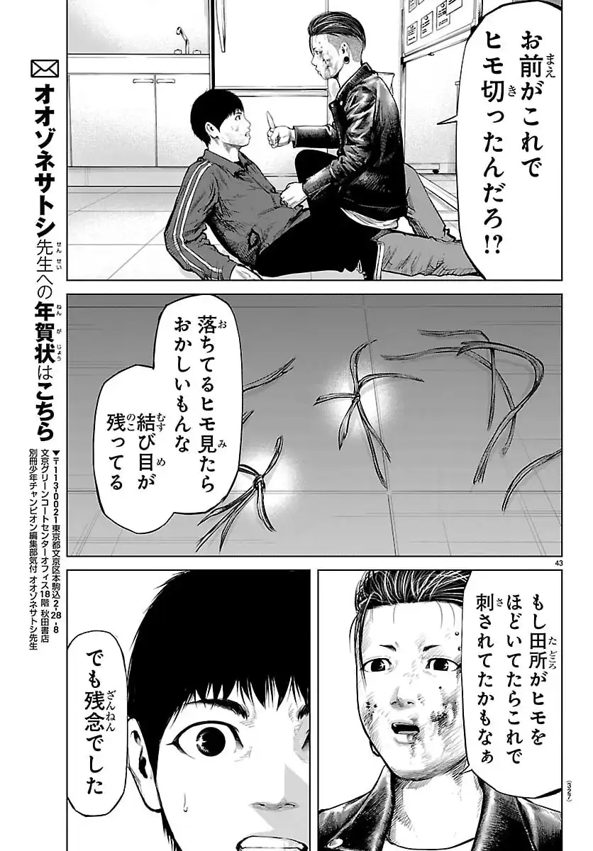 P43
