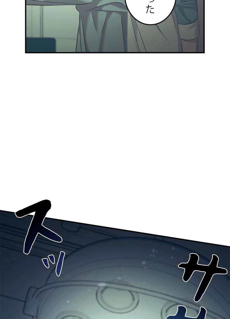 P66