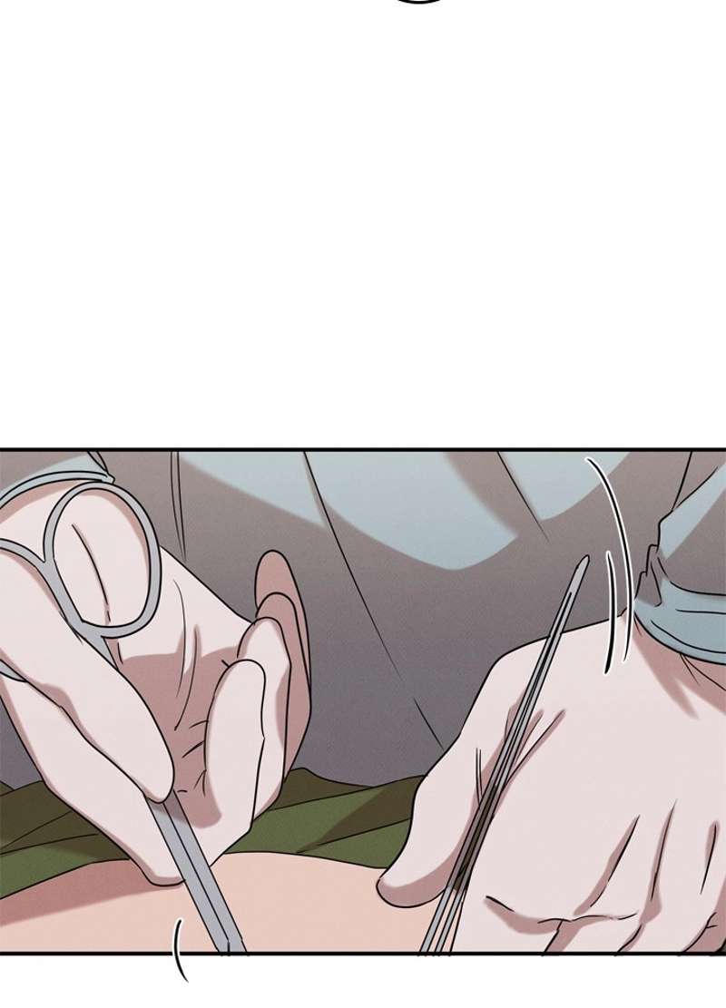 P61