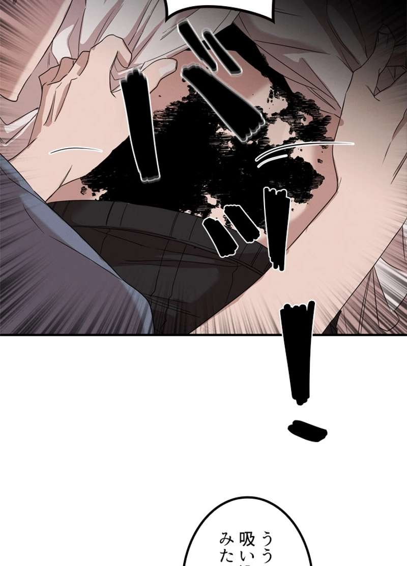 P66
