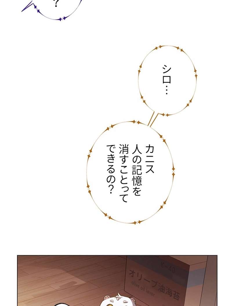 P63