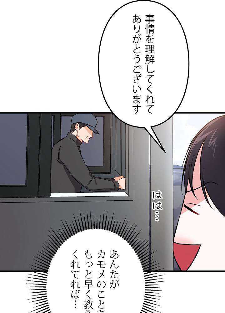 P53