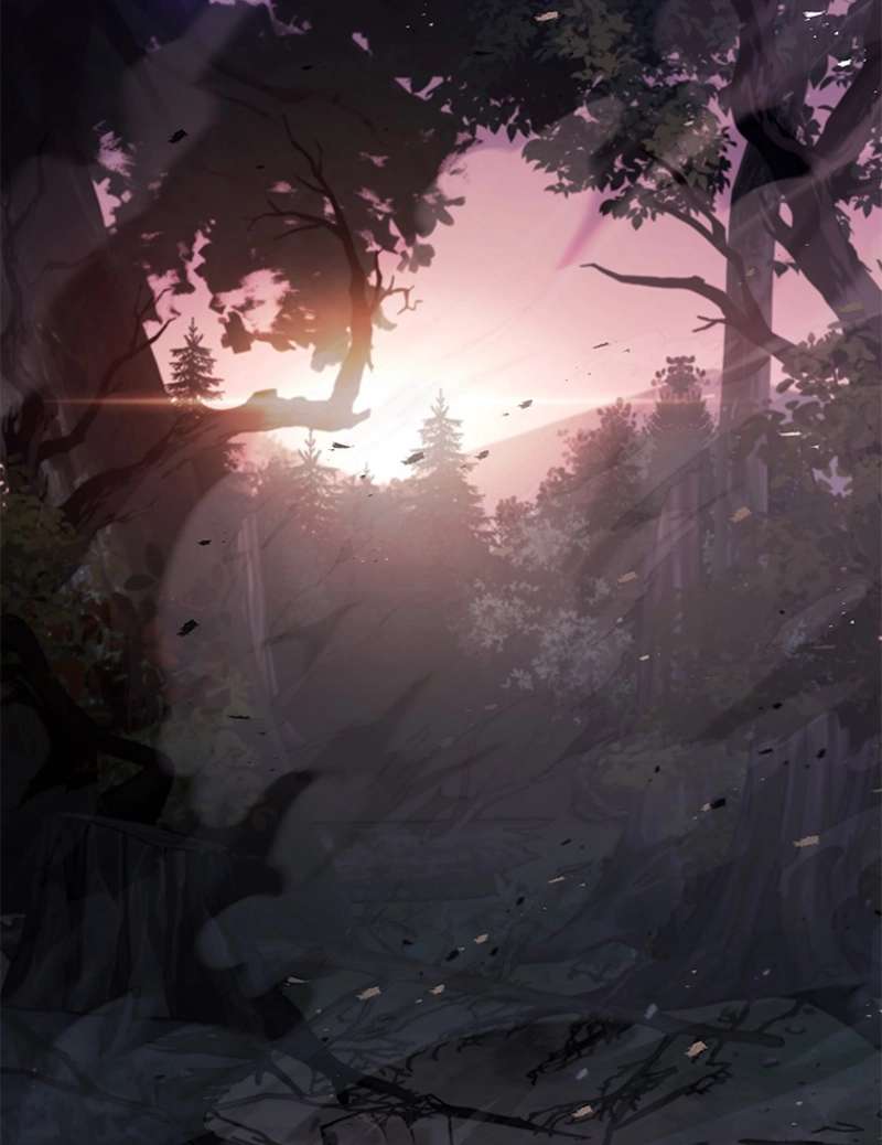 P62