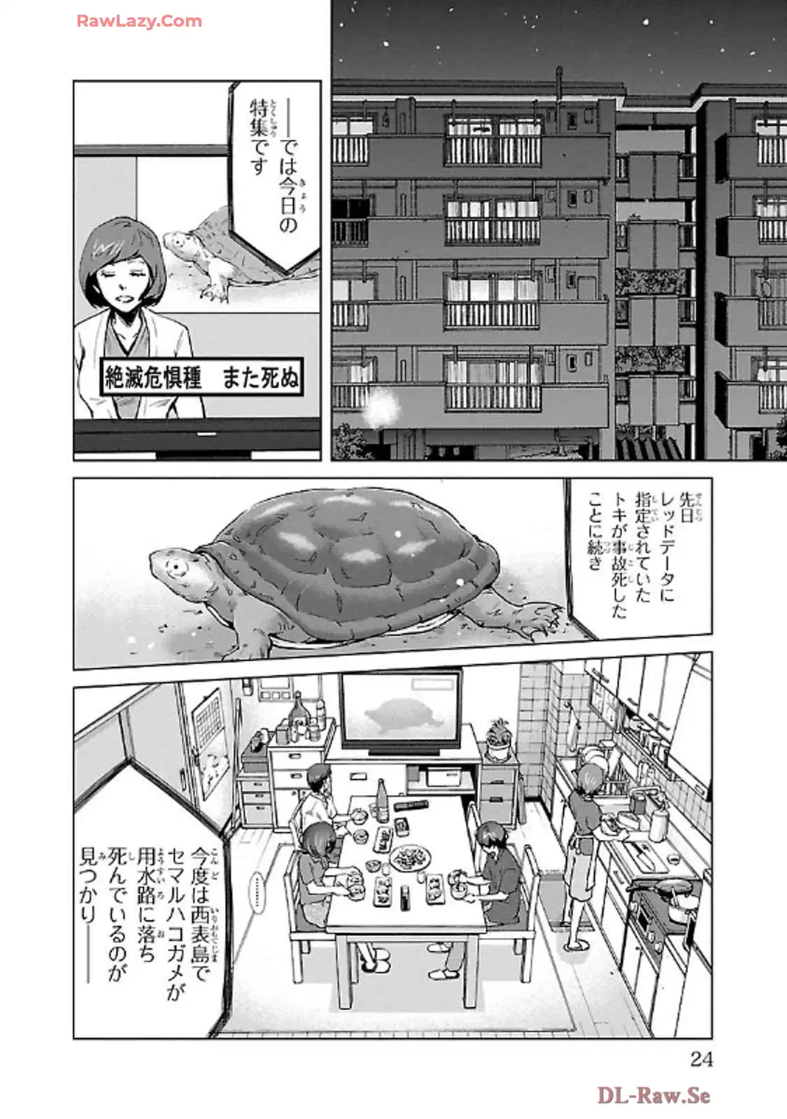 P20