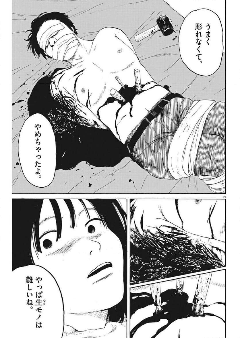 P29