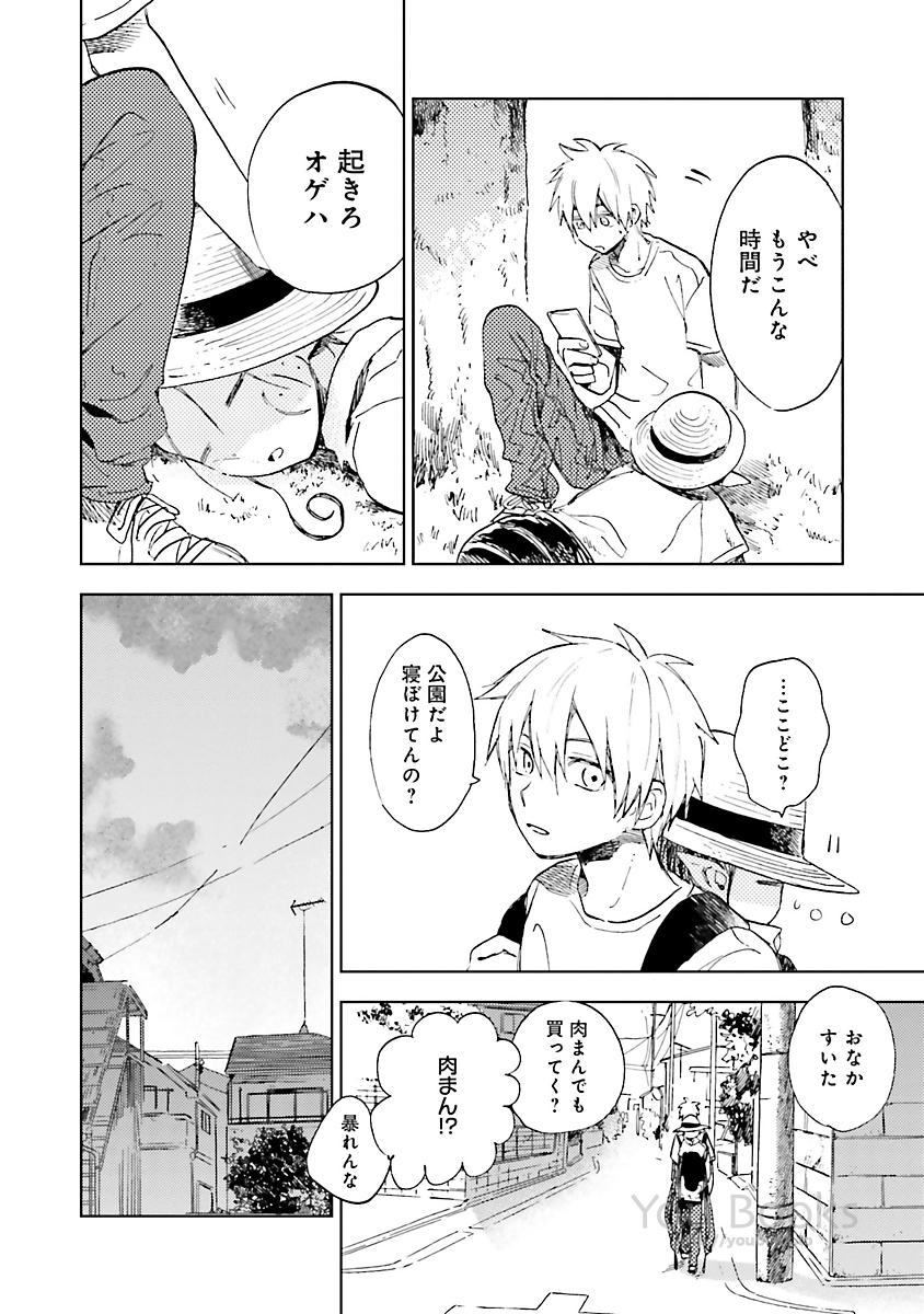 P63