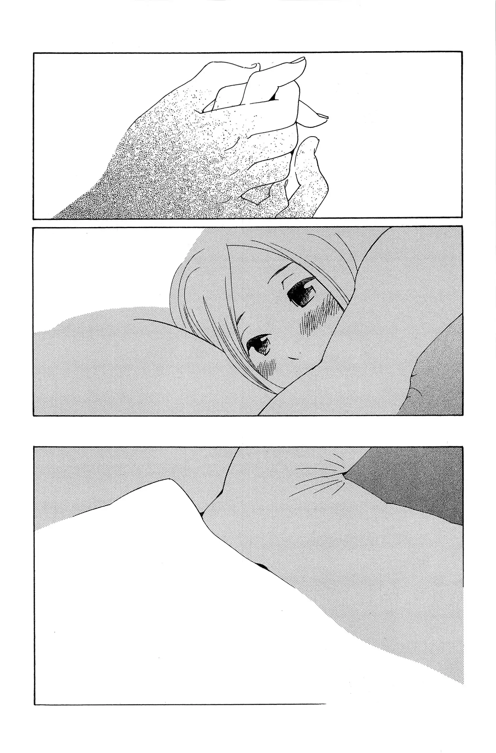 P24