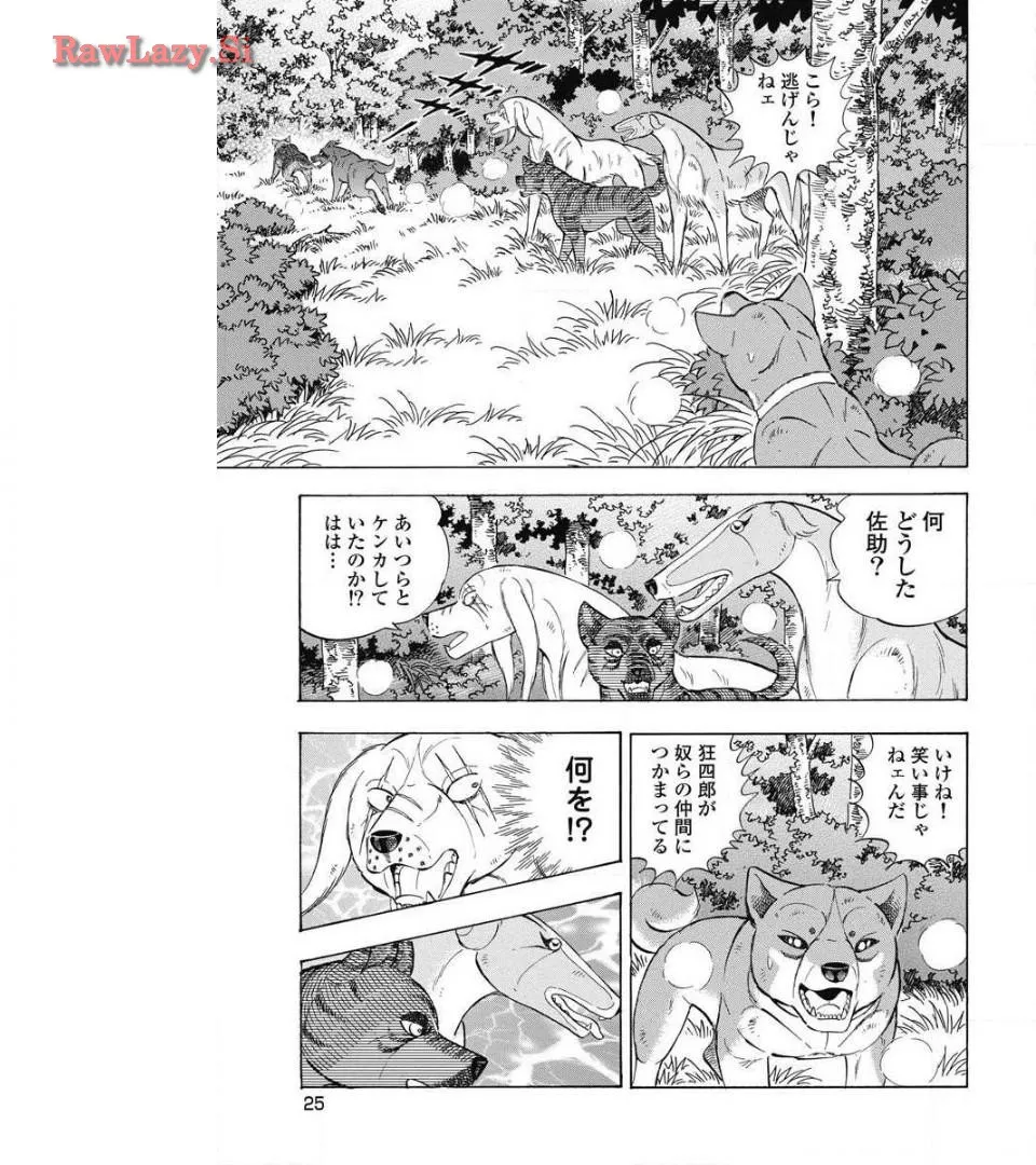 P19