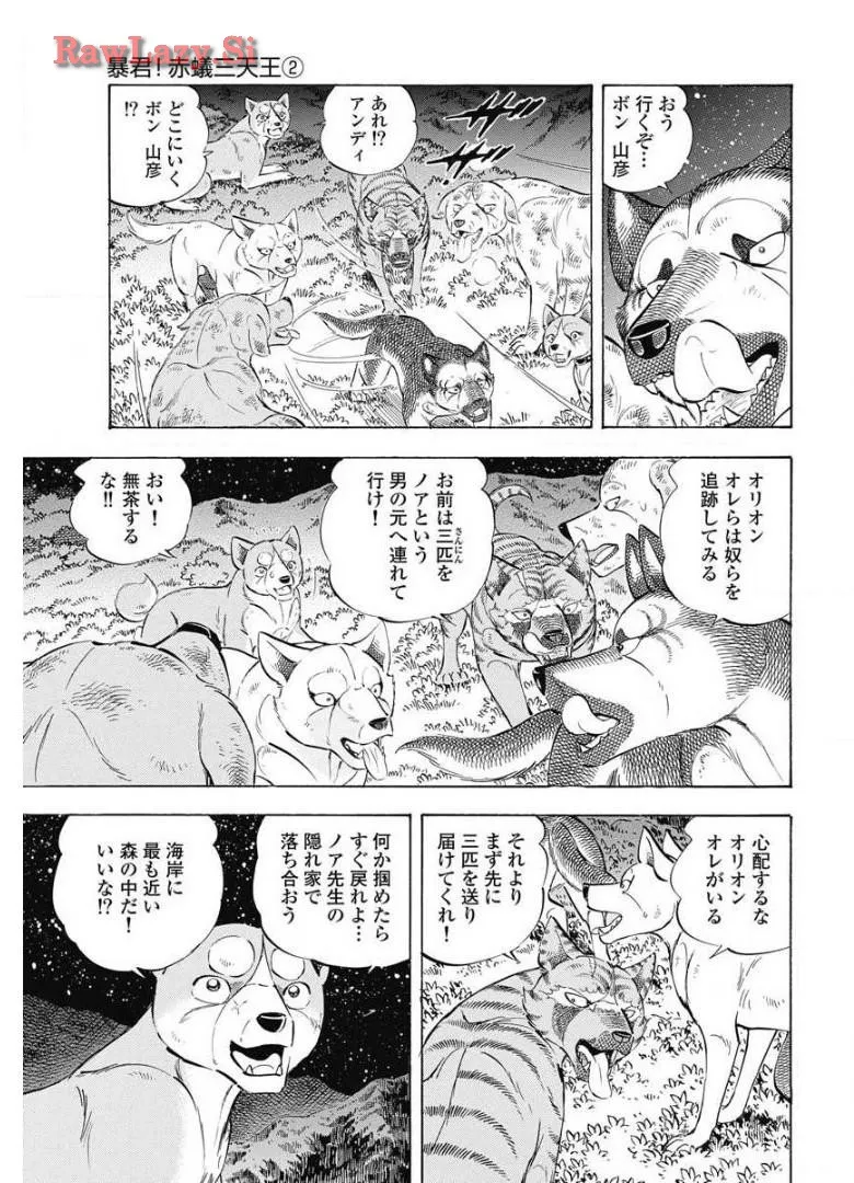 P19