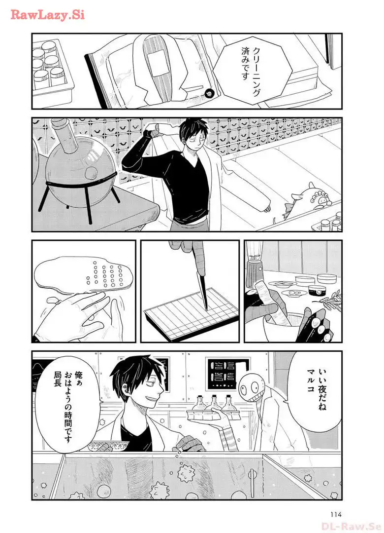 P26