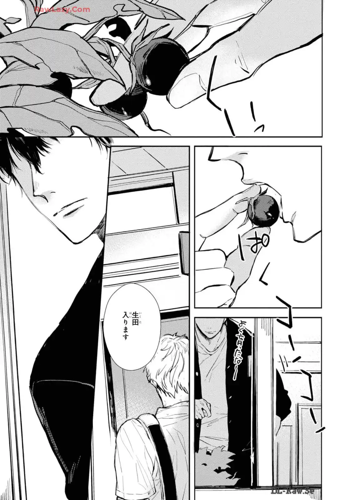 P31