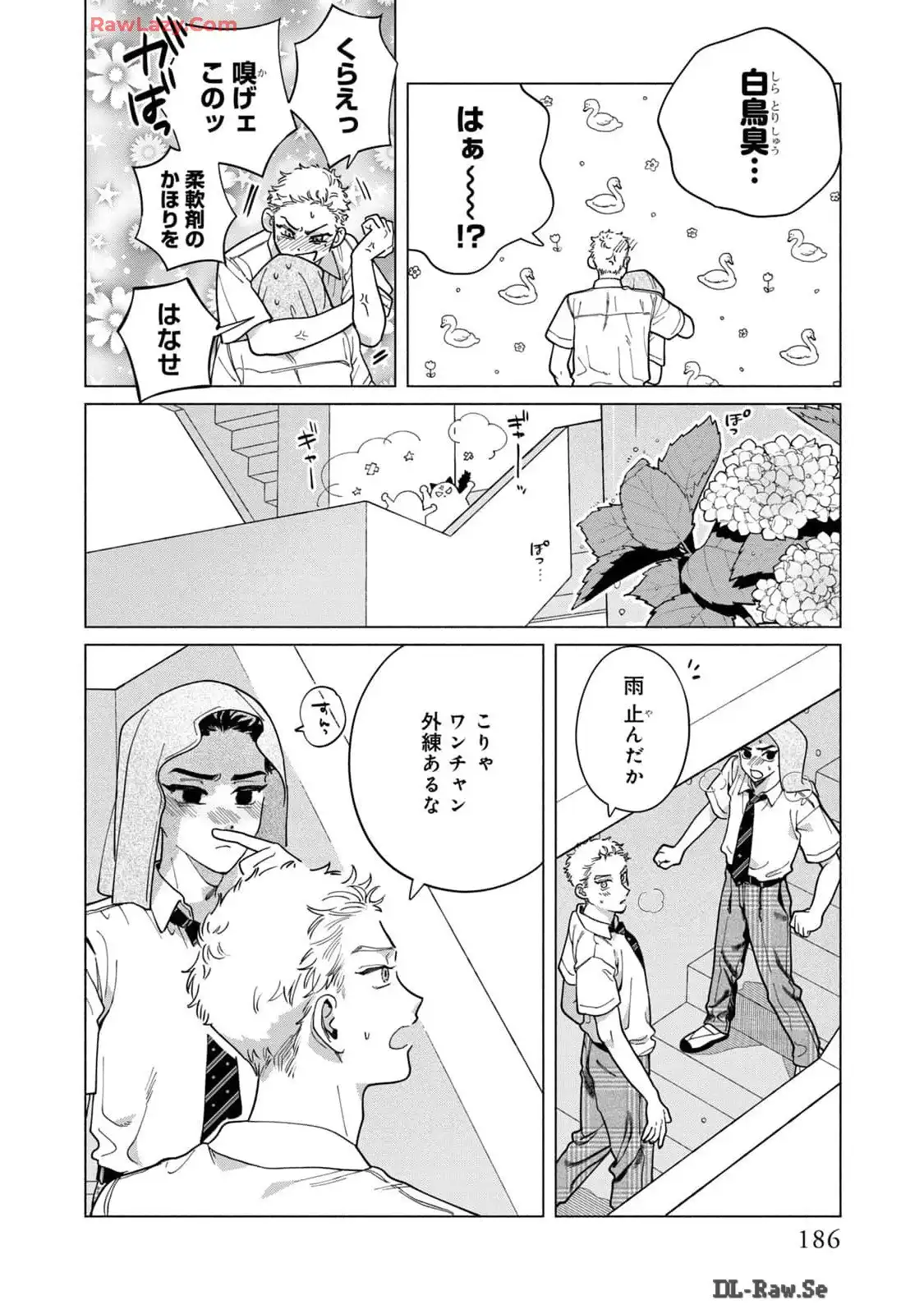 P44