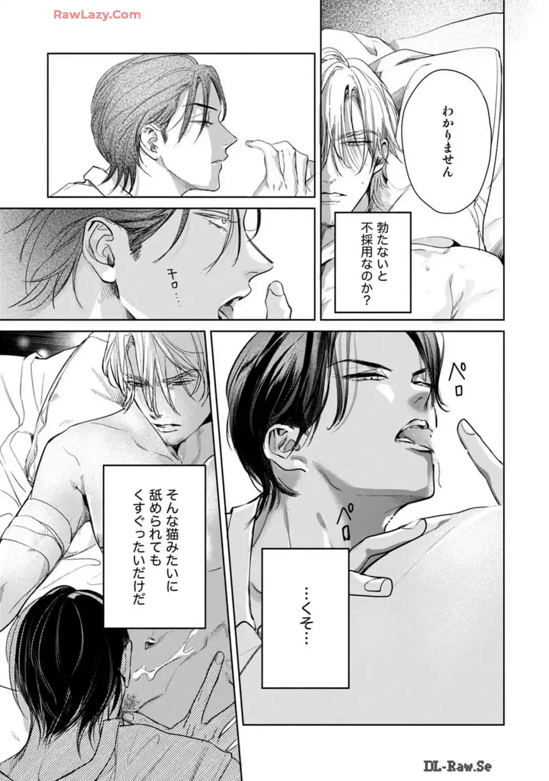 P41