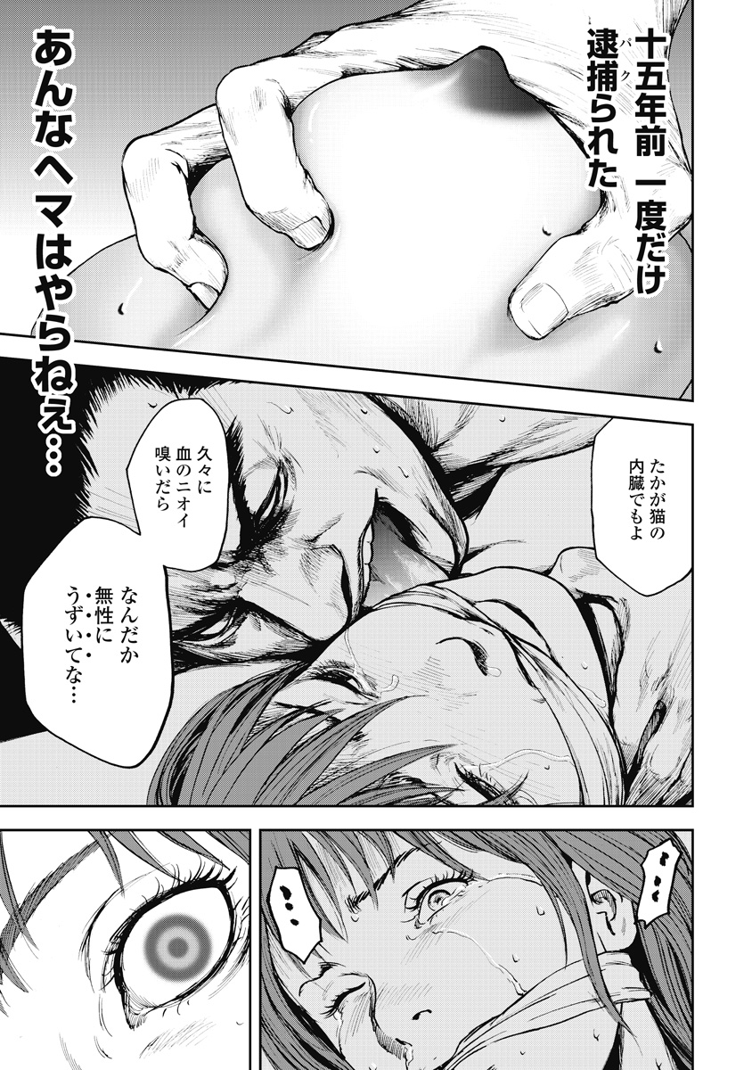 P41