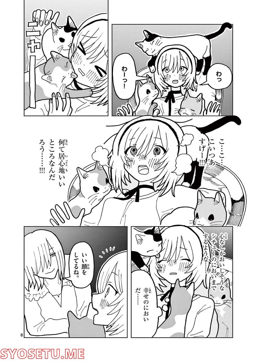 P8