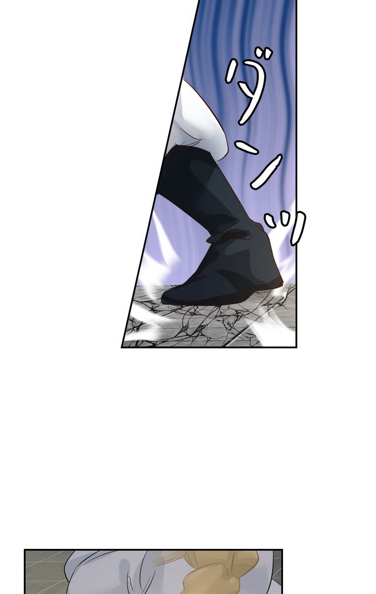P63