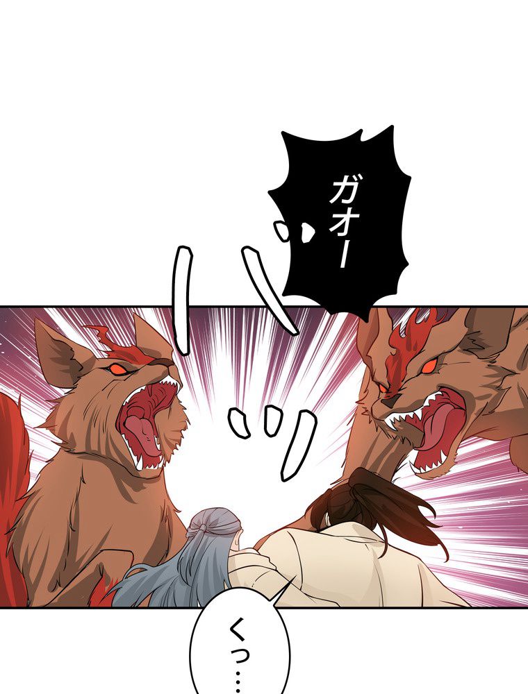 P66