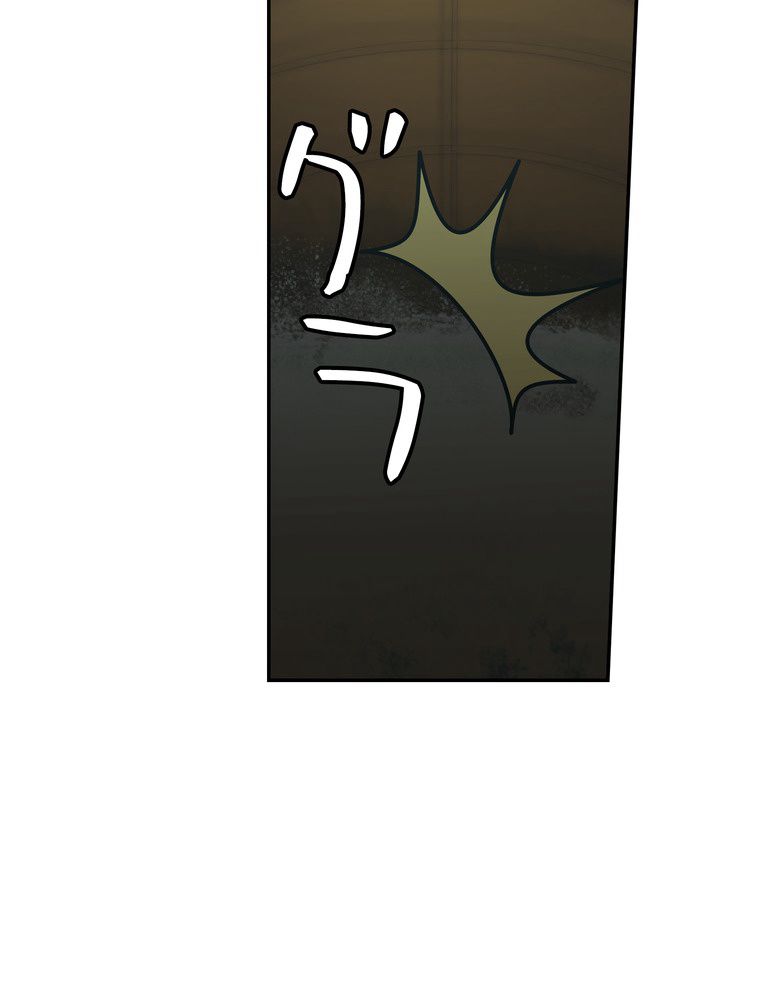 P66