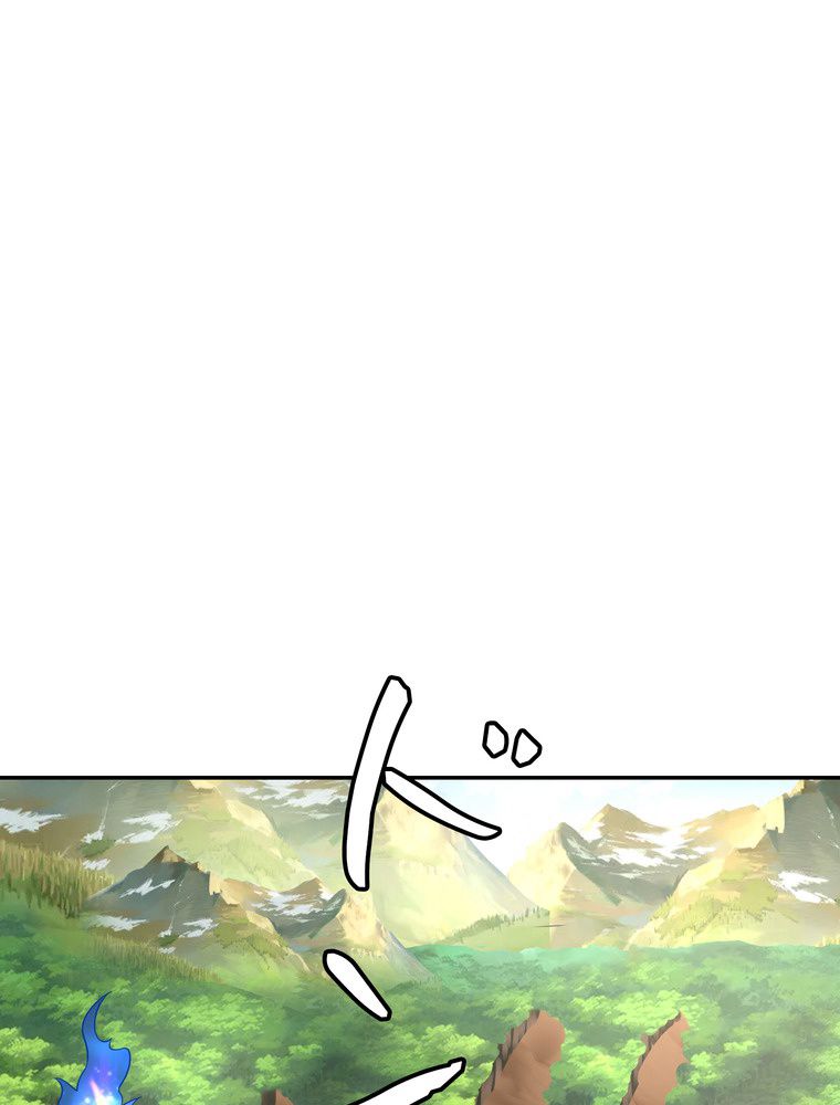 P66