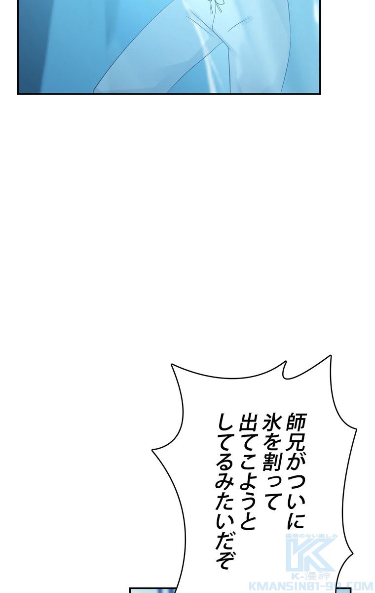 P53