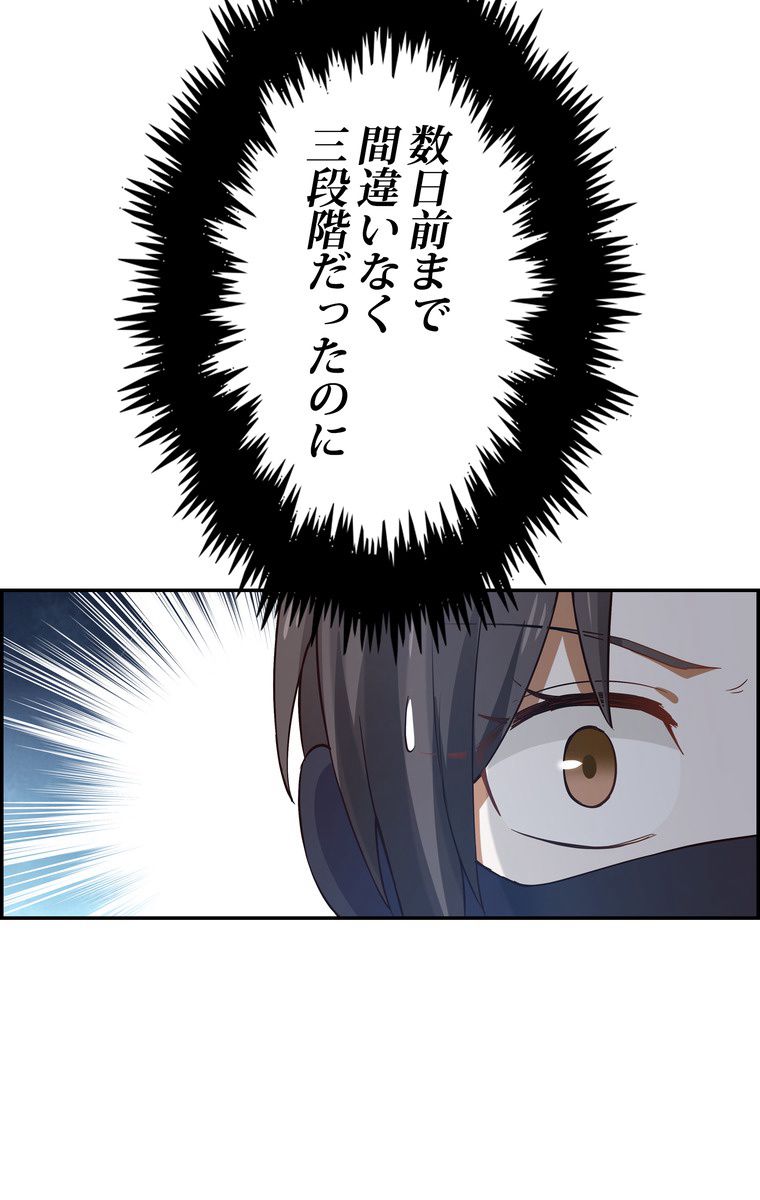 P66