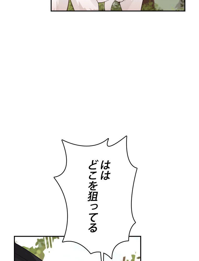 P63