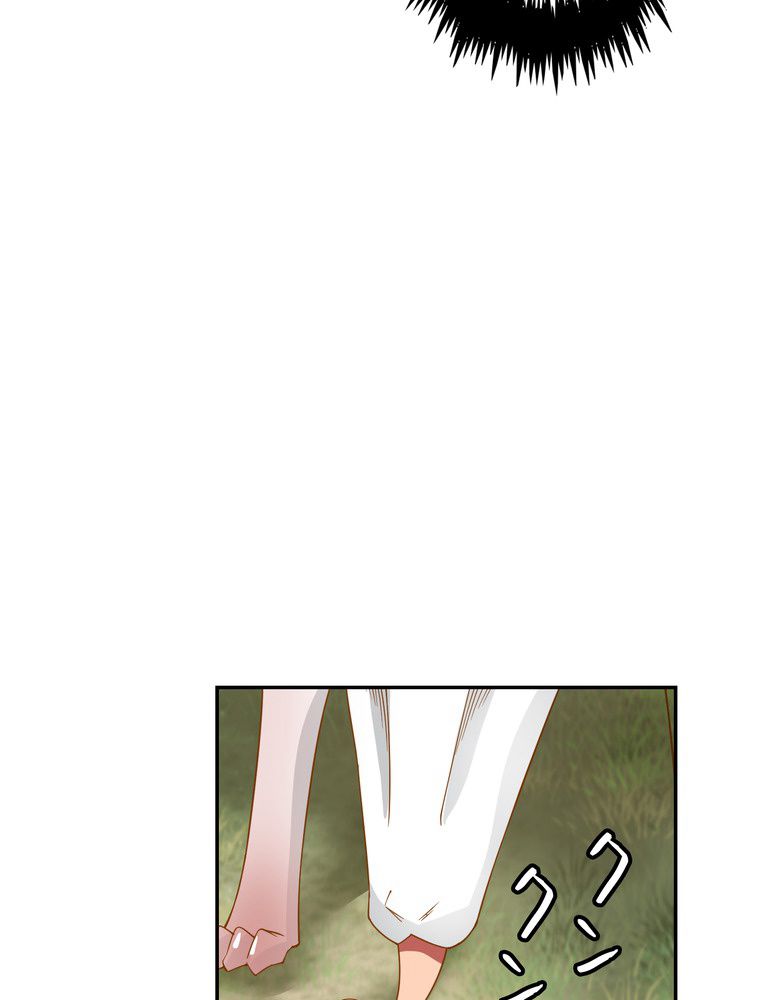 P66