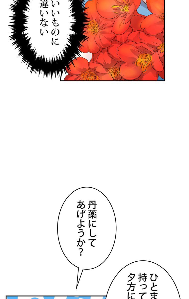 P58