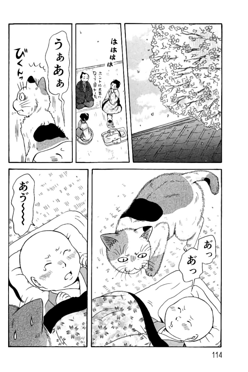 P23