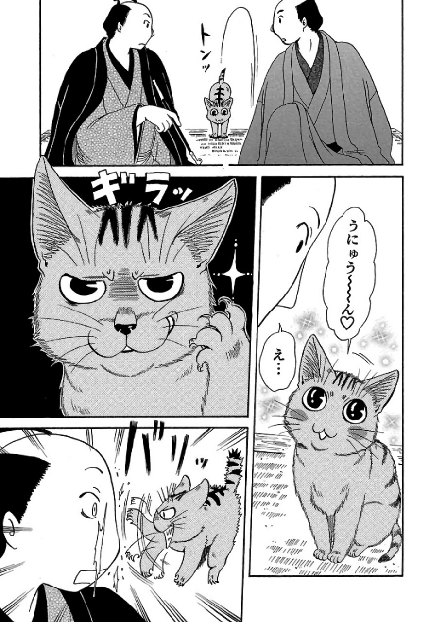 P29