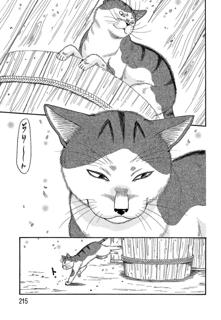 P35