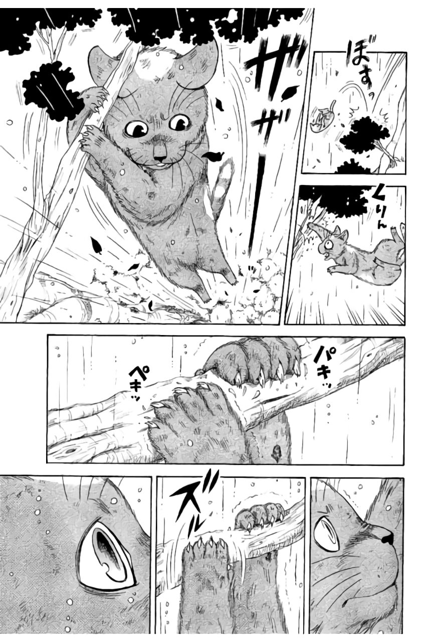 P25
