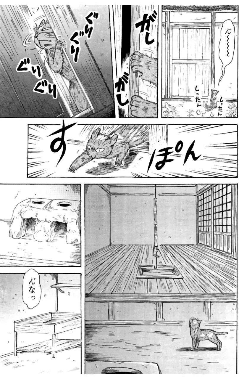 P31