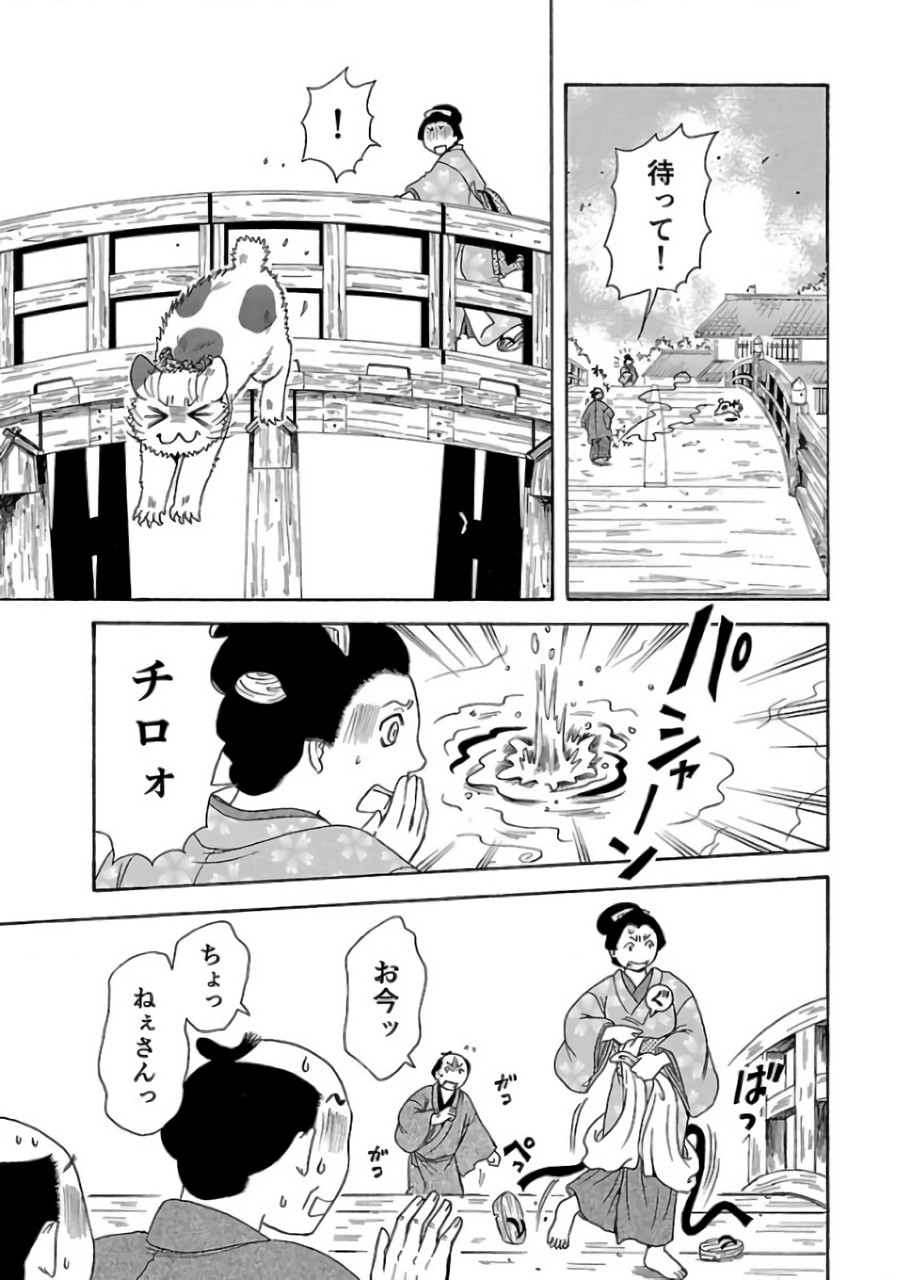 P29